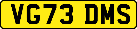 VG73DMS