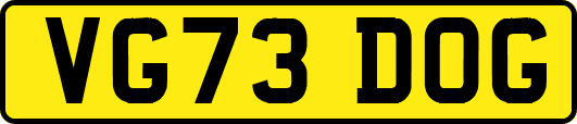 VG73DOG