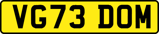 VG73DOM