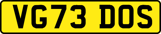 VG73DOS