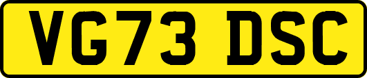 VG73DSC