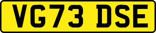 VG73DSE