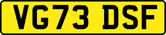 VG73DSF