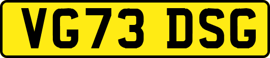 VG73DSG