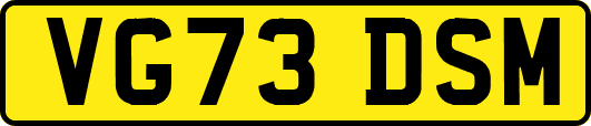 VG73DSM