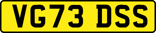 VG73DSS