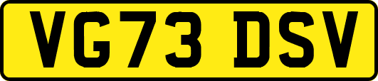 VG73DSV