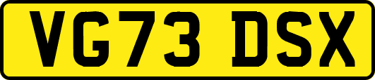 VG73DSX
