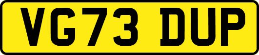 VG73DUP