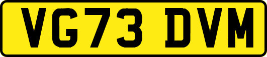 VG73DVM