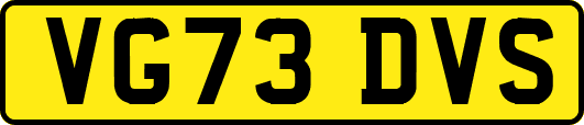VG73DVS