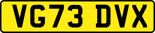 VG73DVX