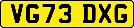 VG73DXG