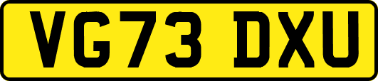 VG73DXU
