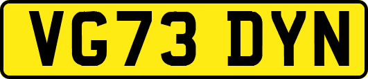 VG73DYN