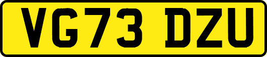 VG73DZU