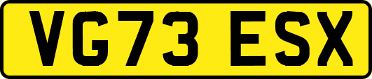 VG73ESX
