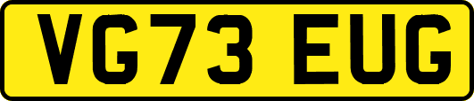 VG73EUG