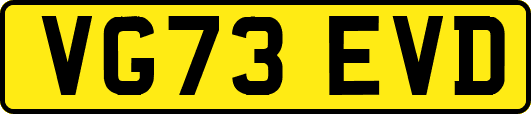 VG73EVD