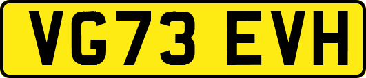 VG73EVH