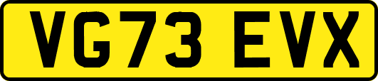 VG73EVX