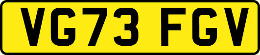VG73FGV