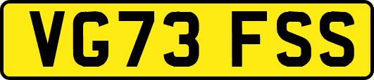 VG73FSS