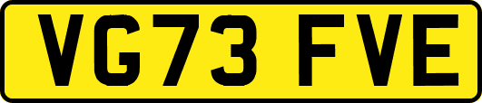 VG73FVE