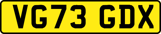 VG73GDX