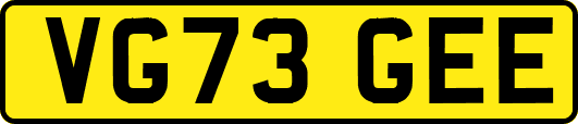 VG73GEE