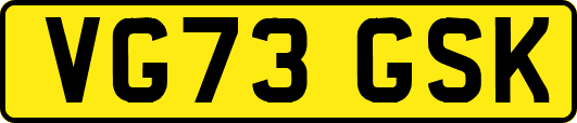 VG73GSK