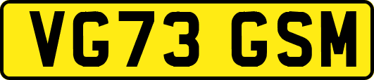 VG73GSM