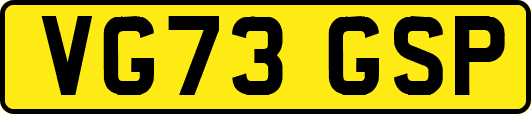 VG73GSP