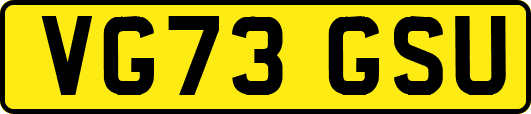 VG73GSU