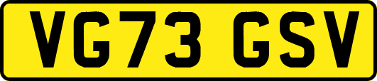 VG73GSV