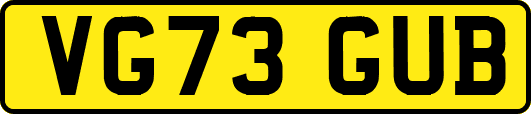VG73GUB