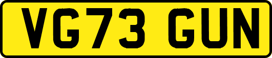 VG73GUN