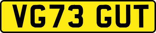 VG73GUT