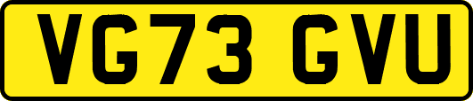 VG73GVU