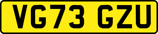 VG73GZU