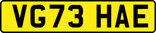 VG73HAE