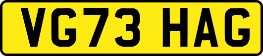 VG73HAG