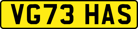VG73HAS