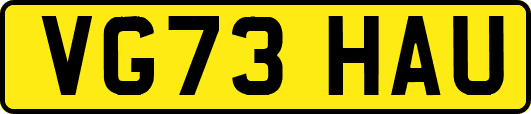 VG73HAU
