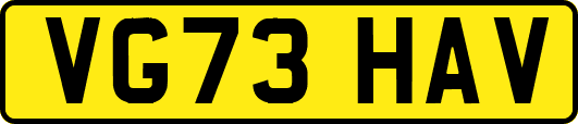 VG73HAV