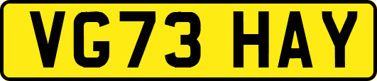 VG73HAY