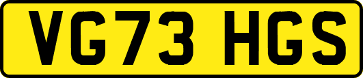 VG73HGS