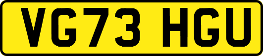 VG73HGU