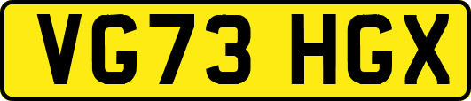 VG73HGX