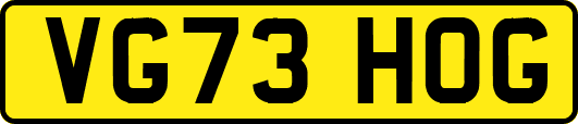 VG73HOG